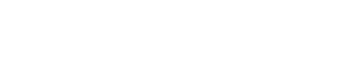 Logo PitStop Diecast